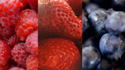 Various healthy berries