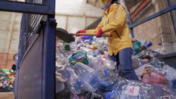 A person in a recycling bin