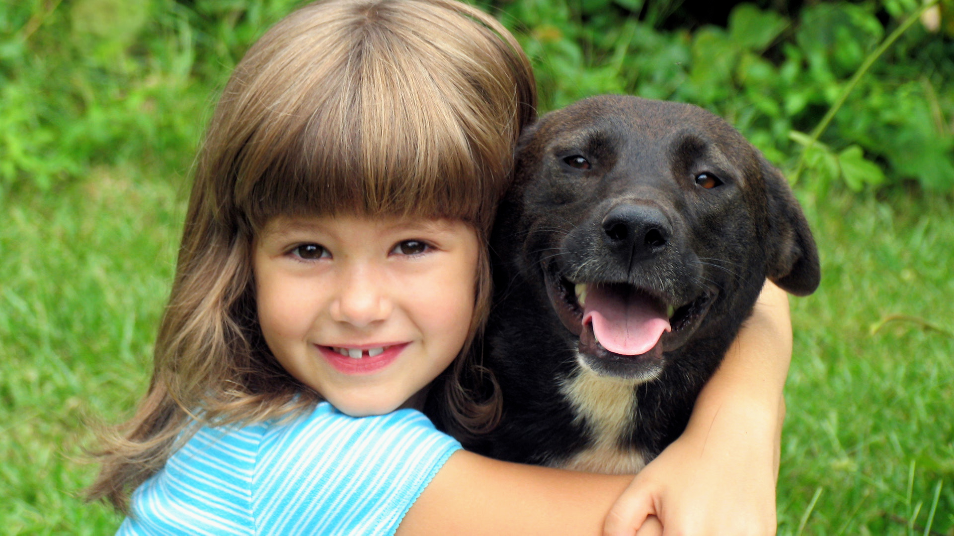 Canine Body Language Hugging Teen Kids News canine-body-language-hugging-teen-kids-news