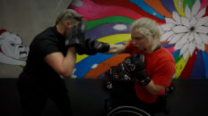 Boxer in a wheelchair