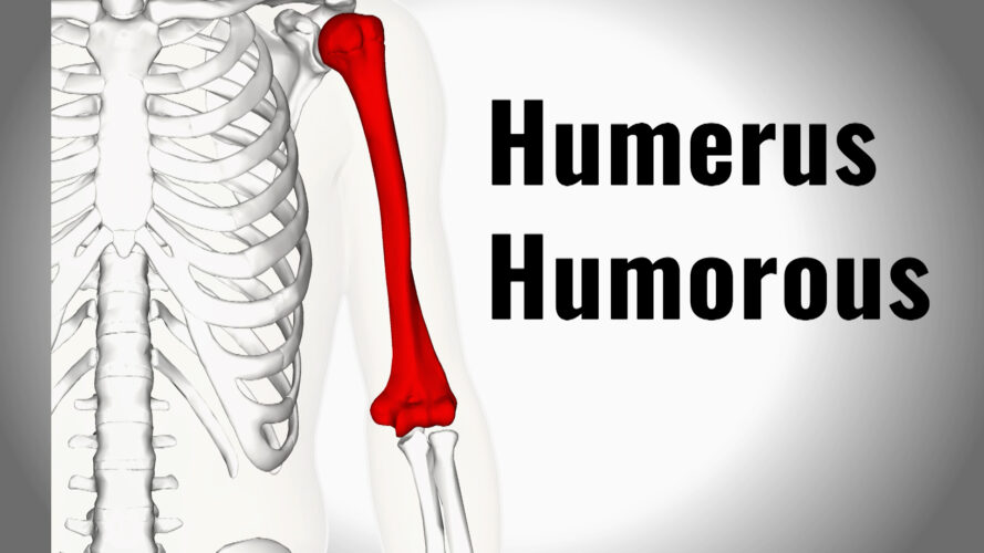 Funny bone