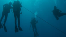 SCUBA divers