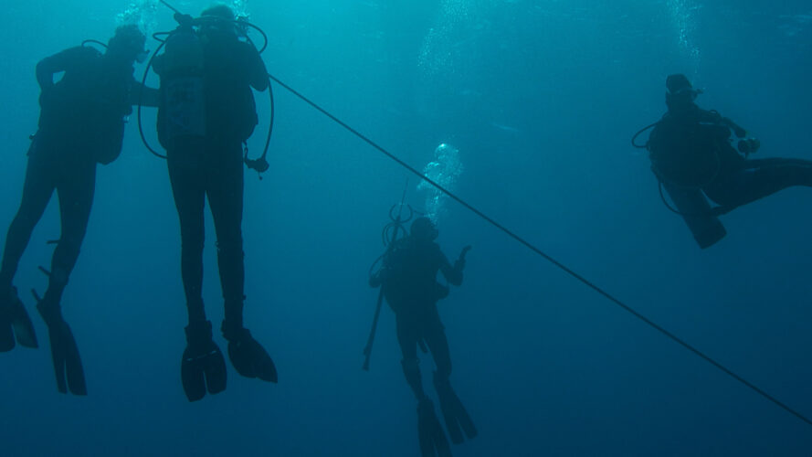 SCUBA divers