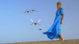 An attractive woman in a blue dress attracts mosquitoes