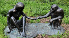 Jane Goodall Memorial