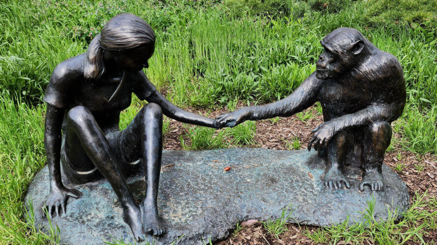 Jane Goodall Memorial