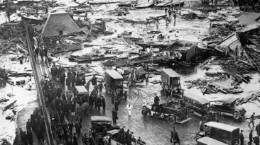 the great molasses flood