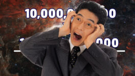 How many!?