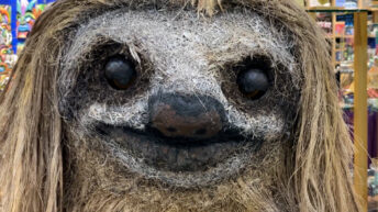 A plush sloth