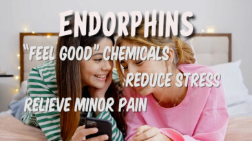 Good things about endorphins