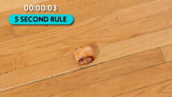 floor food!