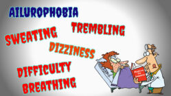 symptoms of Ailurophobia