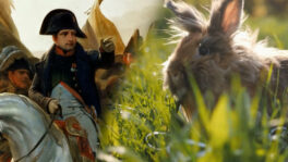 Napoleon and a bunny